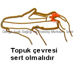 Ayyakkabi Seçimi